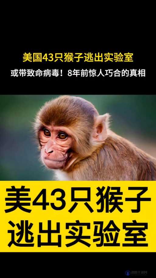 二人生猴子免费观看在哪里可以找到？相关资源及观看途径大揭秘