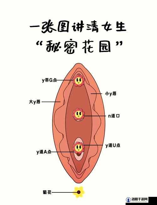 玩小处雌女 HDwww 是什么？它是如何运作的？