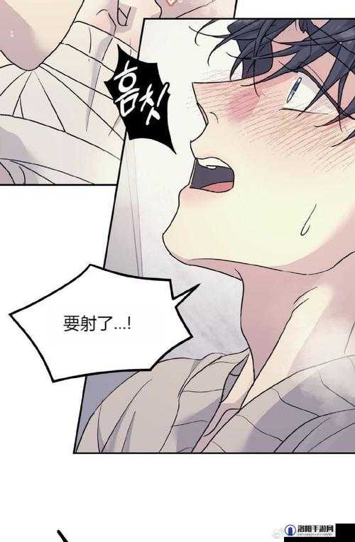 成全动漫第 6 季在线观看：揭秘神秘剧情，你准备好了吗？