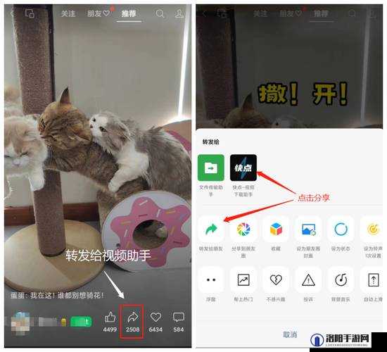 如何在手机上免费安装西瓜视频成年人版app？详细步骤与注意事项全解析