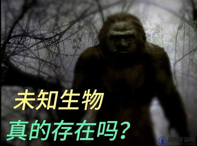 FreeTubeVideosXXXXXXX 视频：揭秘未知世界的神秘力量