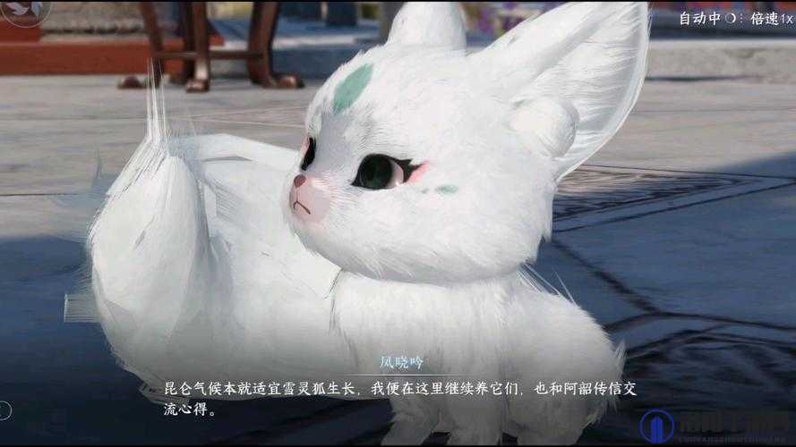 天涯明月刀手游雪狐怎么抓？雪狐宝宝获得攻略深度解析