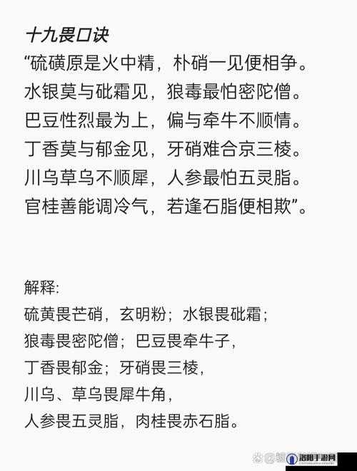 XX18-19XX 到底是什么意思？它代表着怎样独特的含义与价值呢？