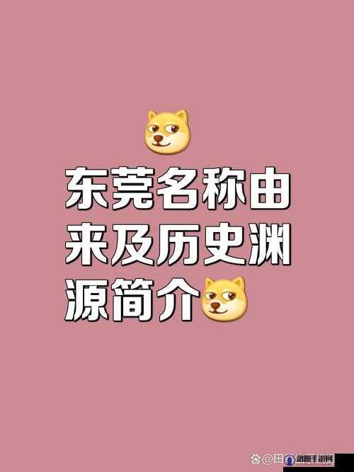 为什么中国性之都东莞会成为产业的代名词？