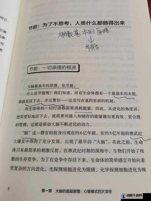 咔叽探险队能量攻略，底层逻辑与实战操作全解析