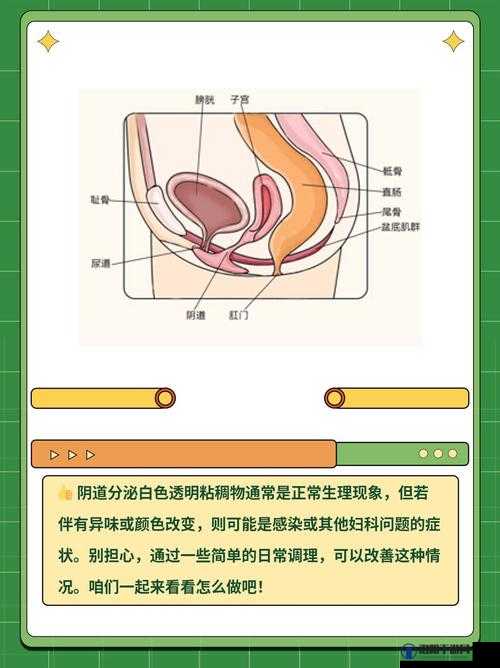 女性一硬就出粘液到底是怎么回事？探秘这一现象背后的原因