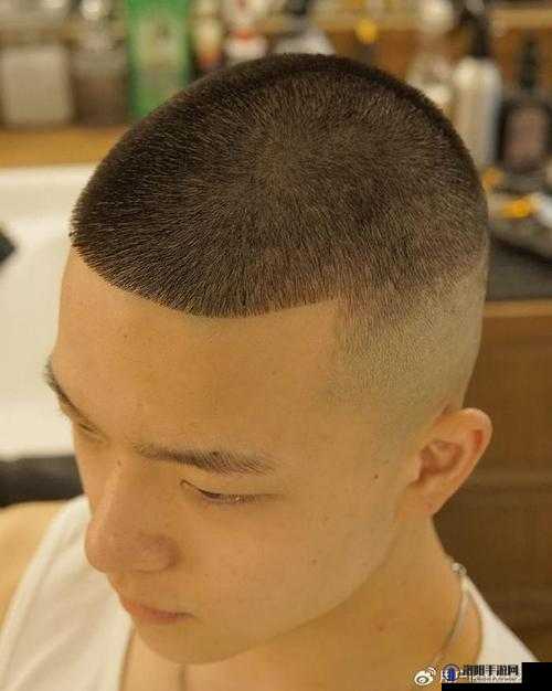 寸头挑战天美视频在线观看,精彩内容哪里寻?快来这里一探究竟