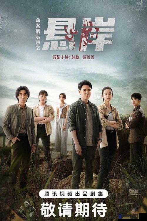日本岳与胥免费高清电影：揭秘背后的真相