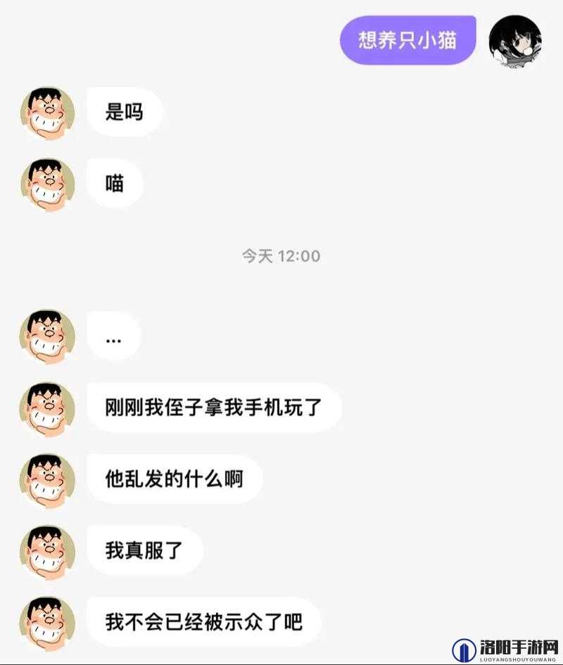 想了解关于网调 QQ 群 2024 的最新动态吗?快来一探究竟吧