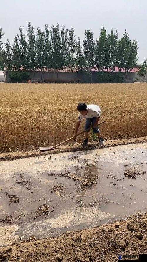 儿子代耕母亲的田地，这种现象正常吗？