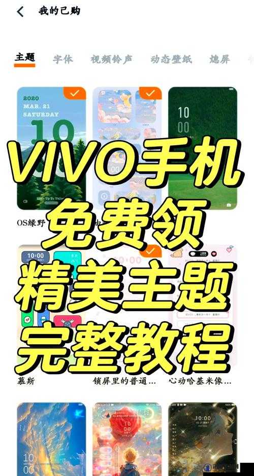 3.0.3vivo免费下载安装指南：如何轻松获取最新版本并完成安装