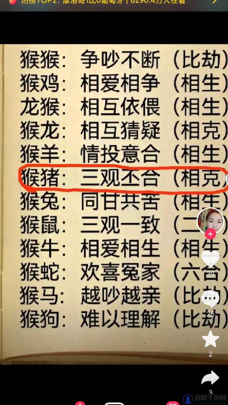 二人生猴子全程免费下载哪里有?如何快速获取?答案都在这里