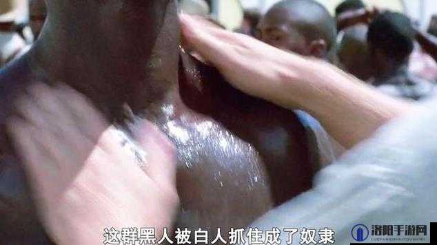 欧美人动性 XXXXZ0OZ 到底是什么？为何引发广泛关注与热议？