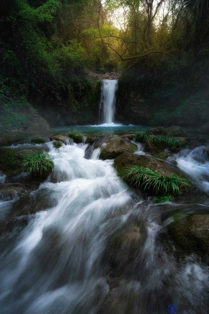 仙踪林潮水 17：探索神秘的自然奇观