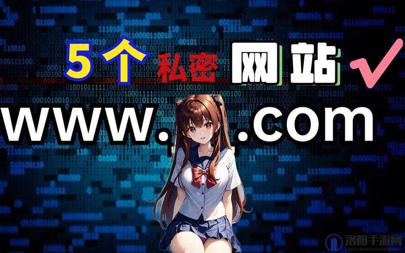 探索全球最大的黄网站入口：如何安全访问与保护隐私的实用指南