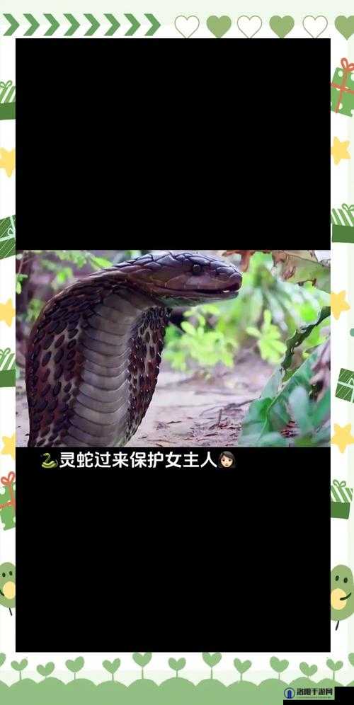 女人与蛇交媾会生出什么？这个问题困扰了科学家数百年