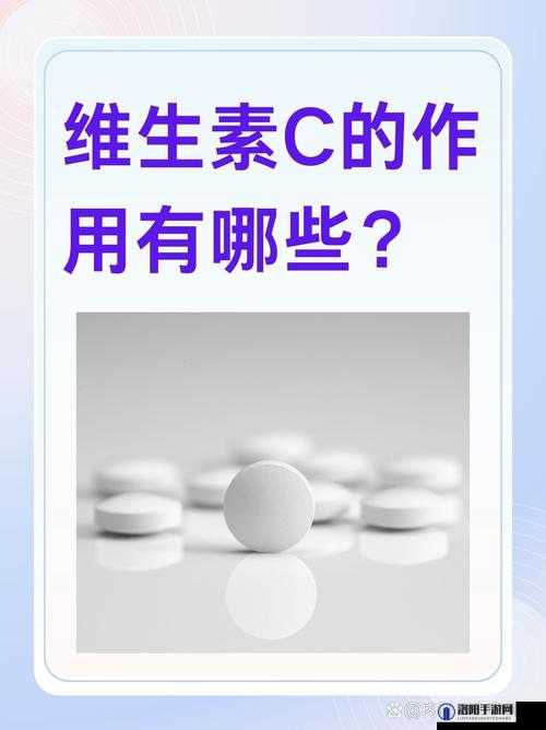 18.c 究竟是什么？全面解读 18.c 的含义、特点及重要性