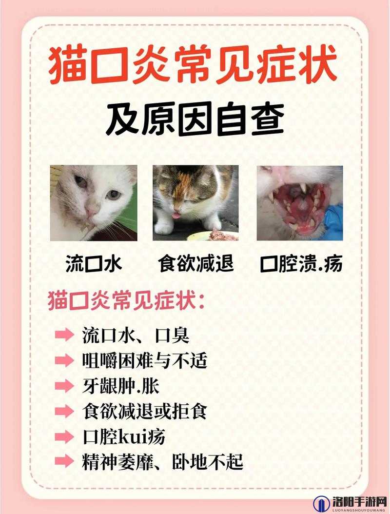 为什么猫嘴巴流粘稠的口水还流鼻涕？这些症状可能意味着什么？