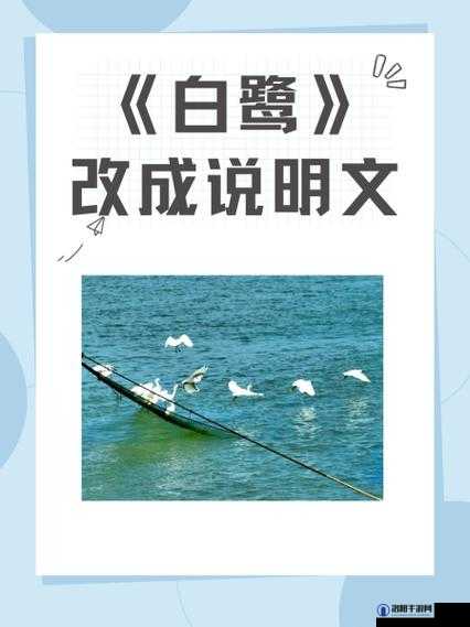 黑潮之上白鹭怎么无限复活，白鹭无限重生技巧深度解析