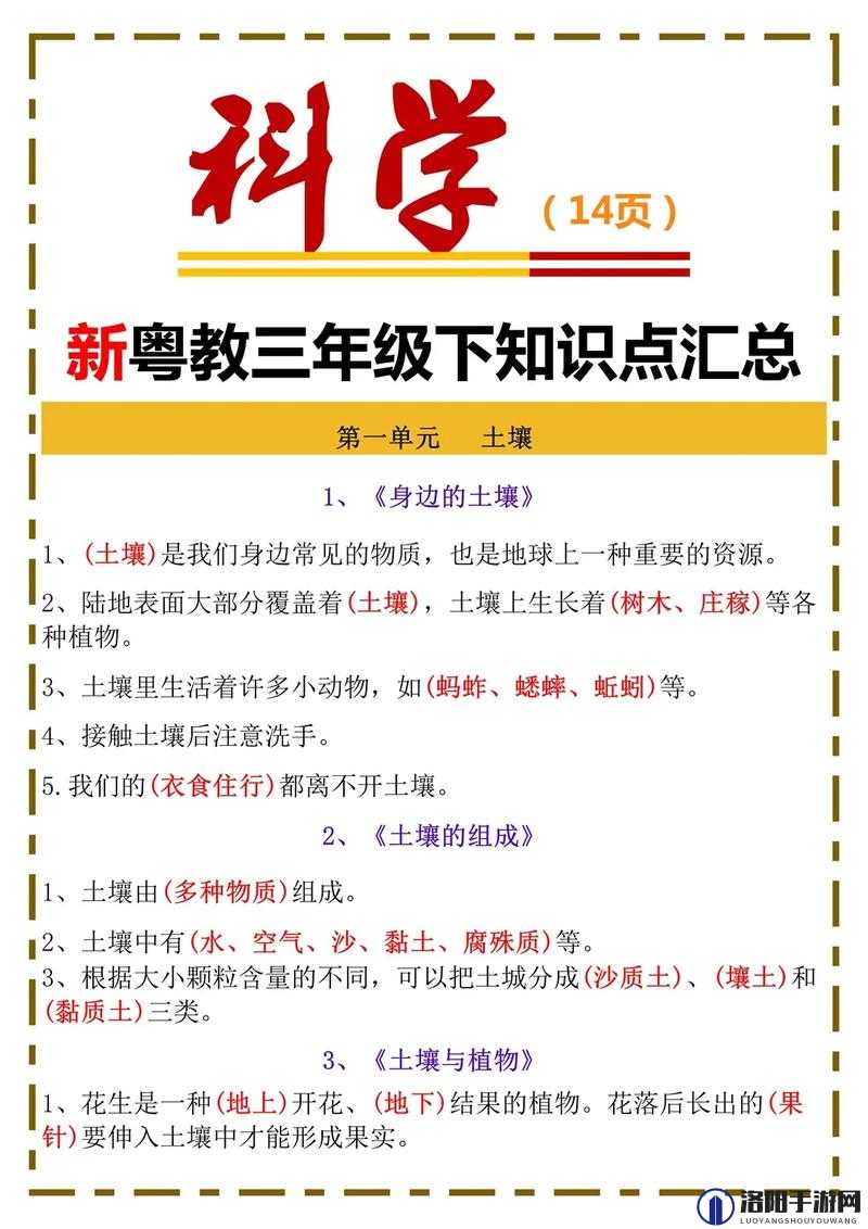 三年免费大全国语究竟是什么？为何能引发广泛关注？快来一探究竟