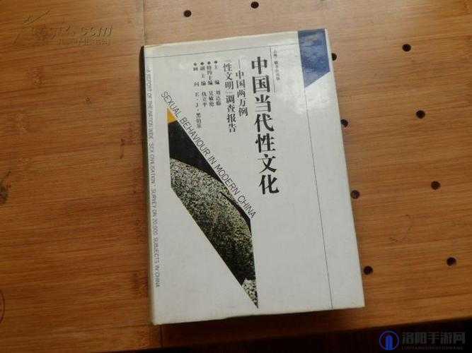 国产性XXXX狂欢老少配：深度解析当代社会现象与文化影响