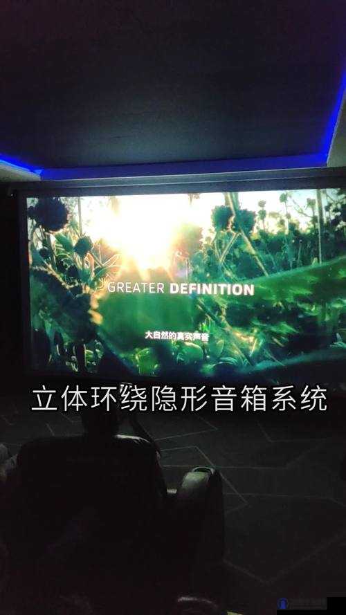 观看 99 精品视频，畅享极致视觉盛宴