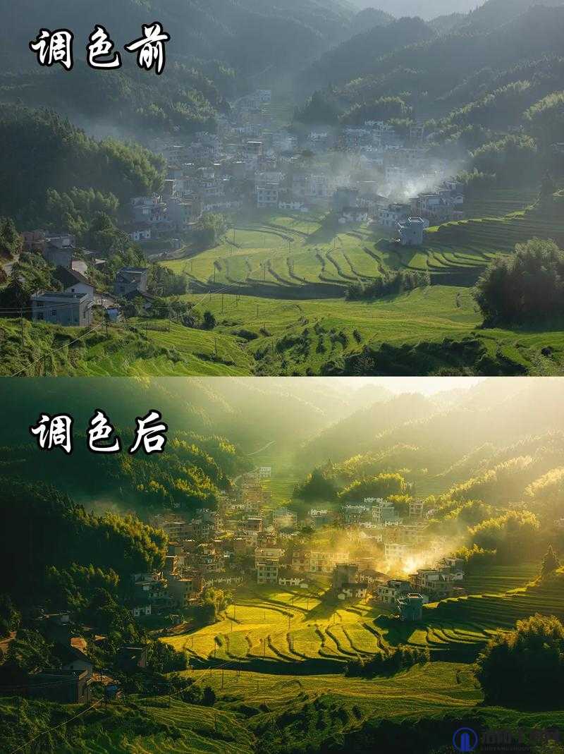 免费PS大片调色在线看：掌握专业调色技巧，轻松打造电影级视觉效果