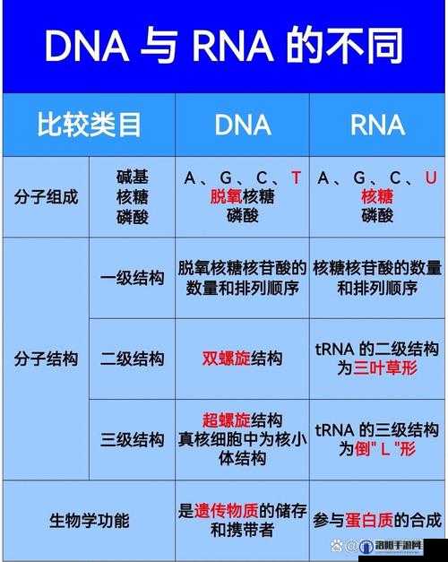 欧洲人和亚洲人 DNA 有何差异？基因决定了什么？