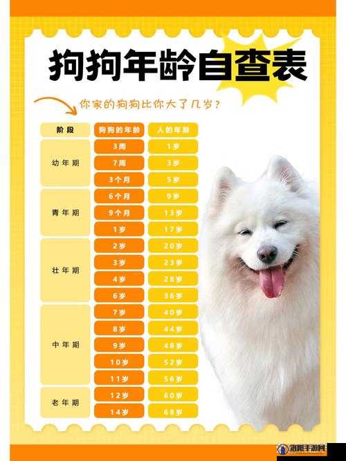 狗狗和人咬配方大全高清下载：详细指南与实用技巧分享，助你轻松掌握最佳配方