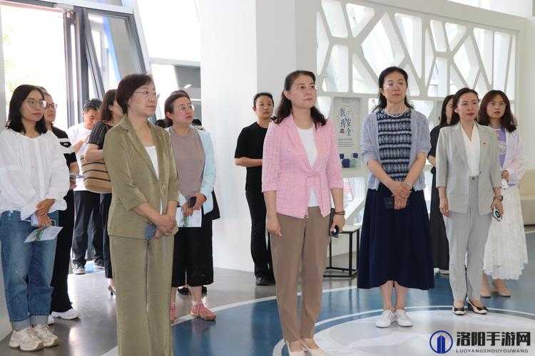 山东省妇女联合会领导班子成员名单及职责分工详解，助力妇女事业发展