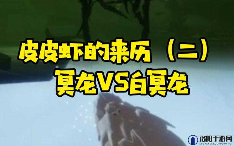 光遇冥龙与皮皮虾的深度解析