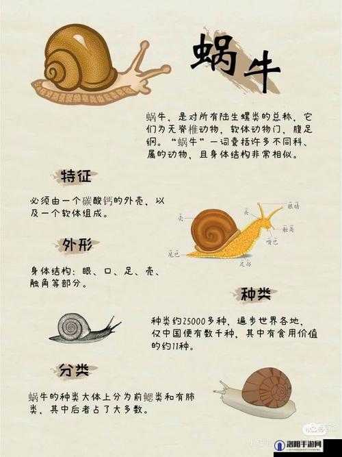 最强蜗牛广告拼图要多少次？广告拼图特殊事件怎么完成？