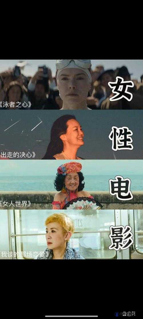 坦妮布丽 1982：揭秘其背后的故事与影响，探索经典作品的永恒魅力