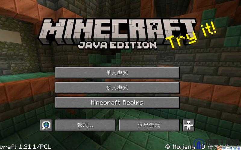 探索 JAVA HD japanXXX 的精彩世界：你需要知道的一切
