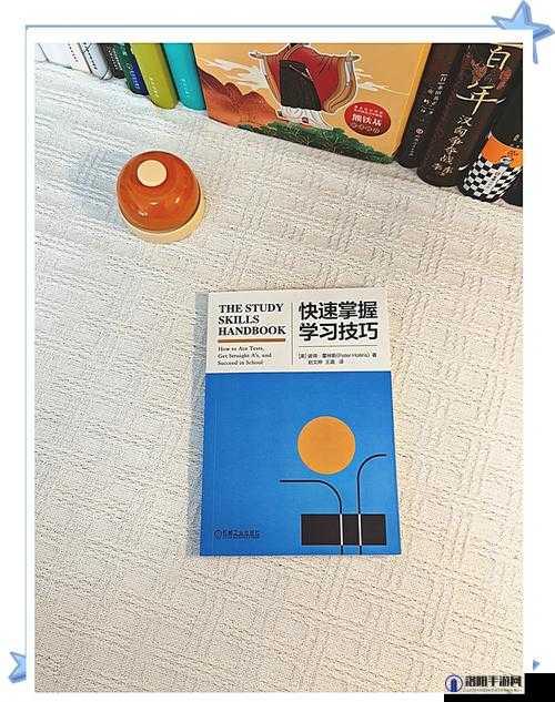 九·幺 破解版：全面解析最新功能与使用技巧，助你轻松掌握高效操作