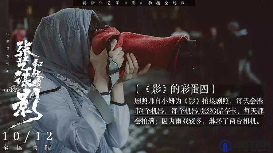 为什么 812 影库看不了？深度解析其背后的原因
