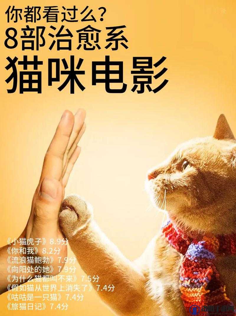 二猫影视作品有哪些值得一看？精彩二猫影视作品大推荐
