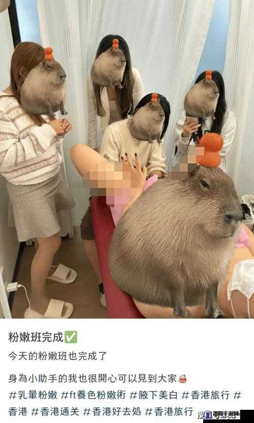 求推荐有哪些类似 337P 人体粉嫩小泬免费视频的资源？