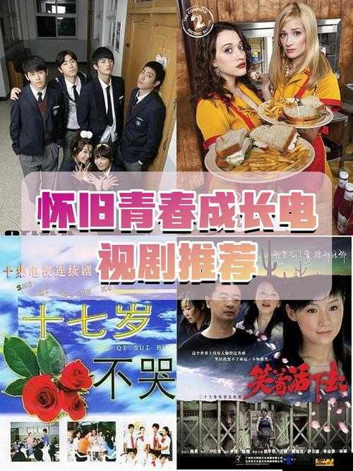 十四岁姑娘免费观看电视剧剧情解析：青春成长与家庭情感的深度探讨