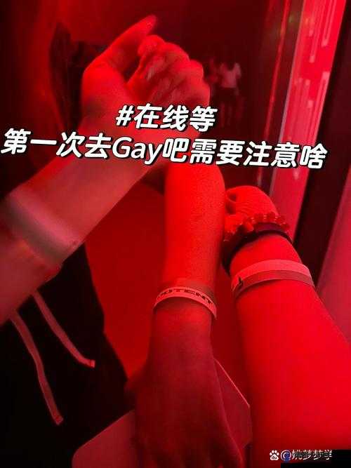 探索日本Gay免费网站：深入了解LGBTQ+社区资源与文化，发现最新活动和交友平台