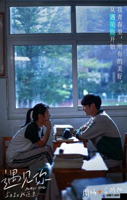 风流校花电影：揭秘校园爱情与青春冒险的完美交织，不容错过的青春盛宴