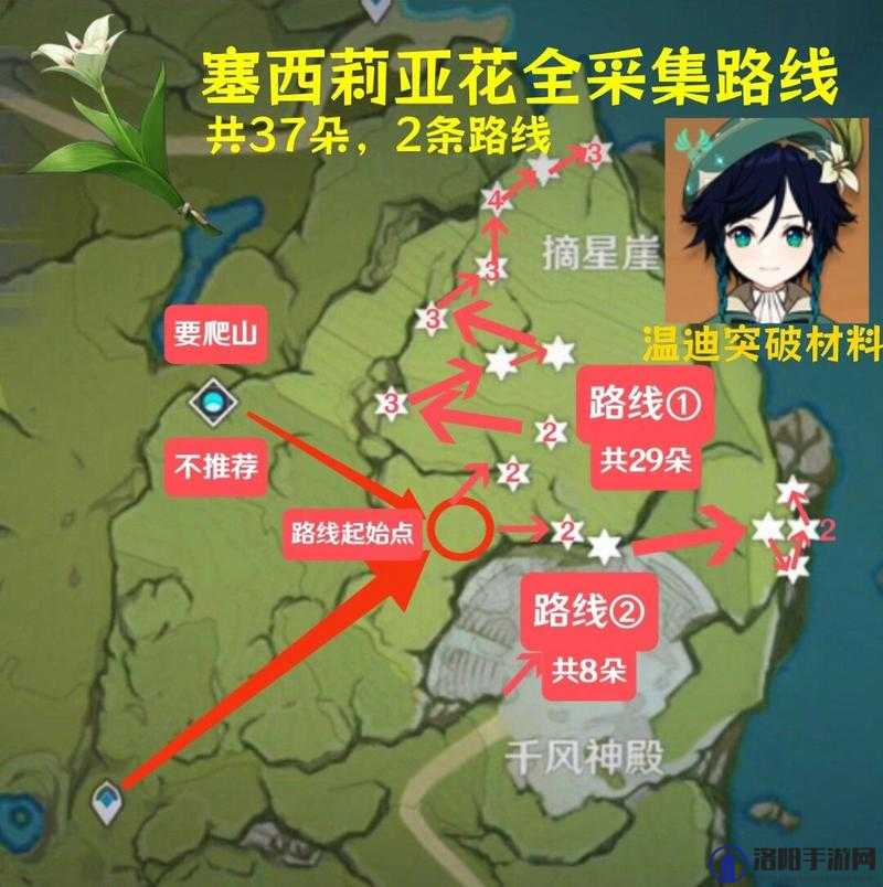 原神塞西莉亚花,高效管理与利用策略