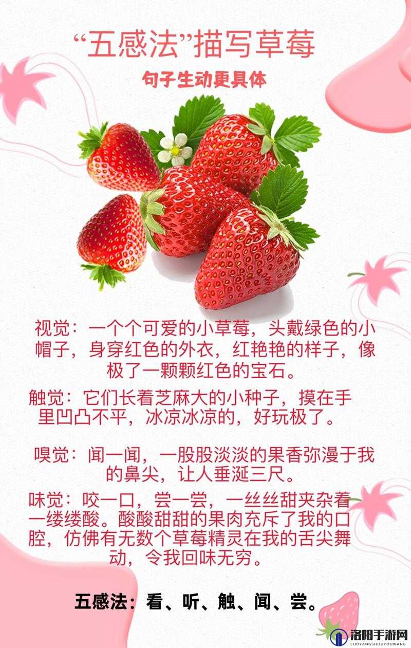 如何解决草莓视频无限看的问题？