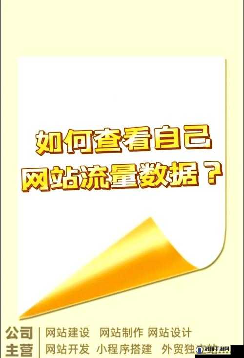 如何提升网站流量？掌握这些技巧让你的网站脱颖而出
