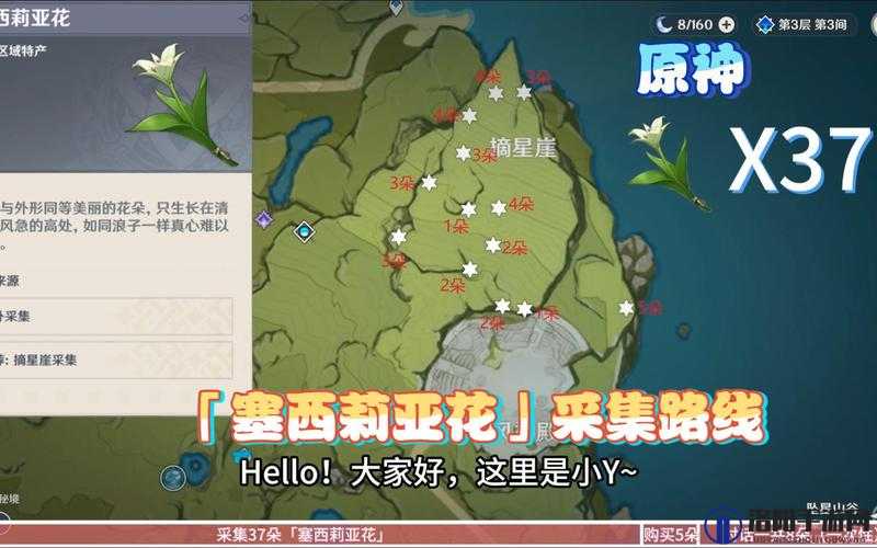 原神塞西莉亚花采集路线全攻略