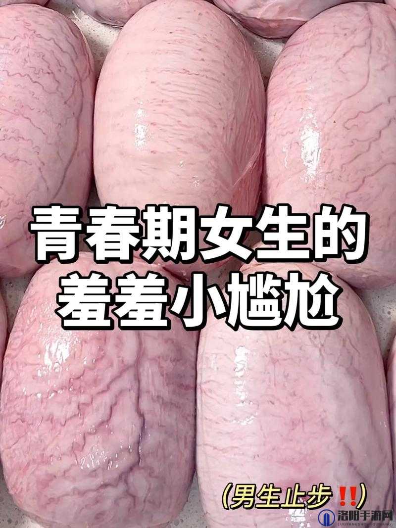 玩小处雌女13：揭秘青春期少女的心理变化与成长挑战