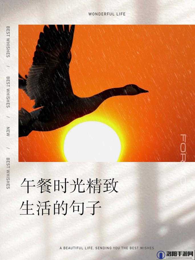 丈夫不在家的午饭过后的时光:日剧中的家庭情感与女性自我探索之旅