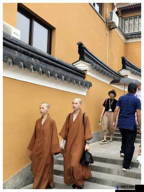 尼姑又叫什么？揭秘佛教女性修行者的别称与历史渊源
