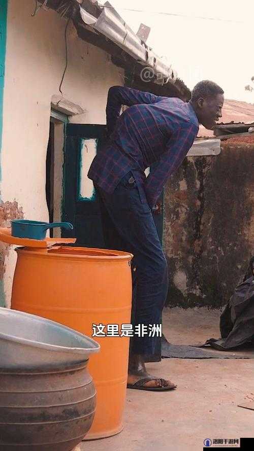非洲 2 究竟有何独特魅力？深入探索非洲 2 的神秘世界与精彩之处