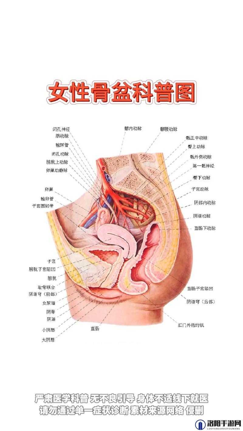 女人身体的三个阶段，你了解多少？